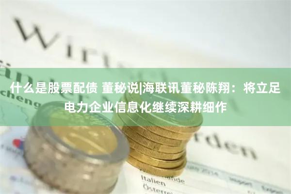 什么是股票配债 董秘说|海联讯董秘陈翔：将立足电力企业信息化继续深耕细作
